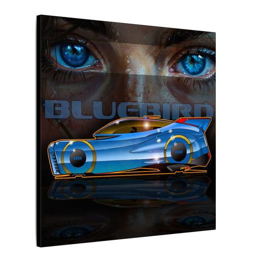 BLUEBIRD FIREBALL CONCEPT Canvas Art Print - 2 Sizes