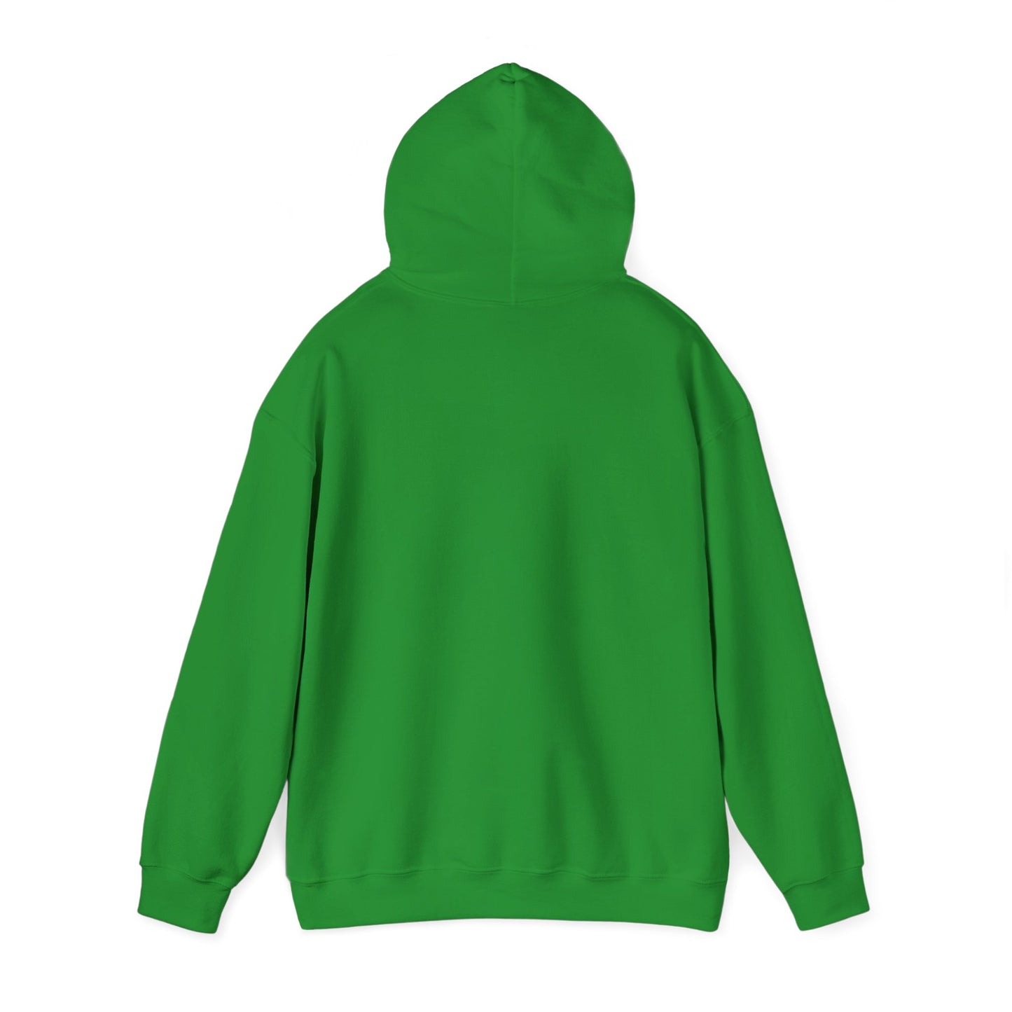 TEENAGE MUTANT NINJA TURTLE VAN Turtle Power Hooded Sweatshirt - 3 Colors