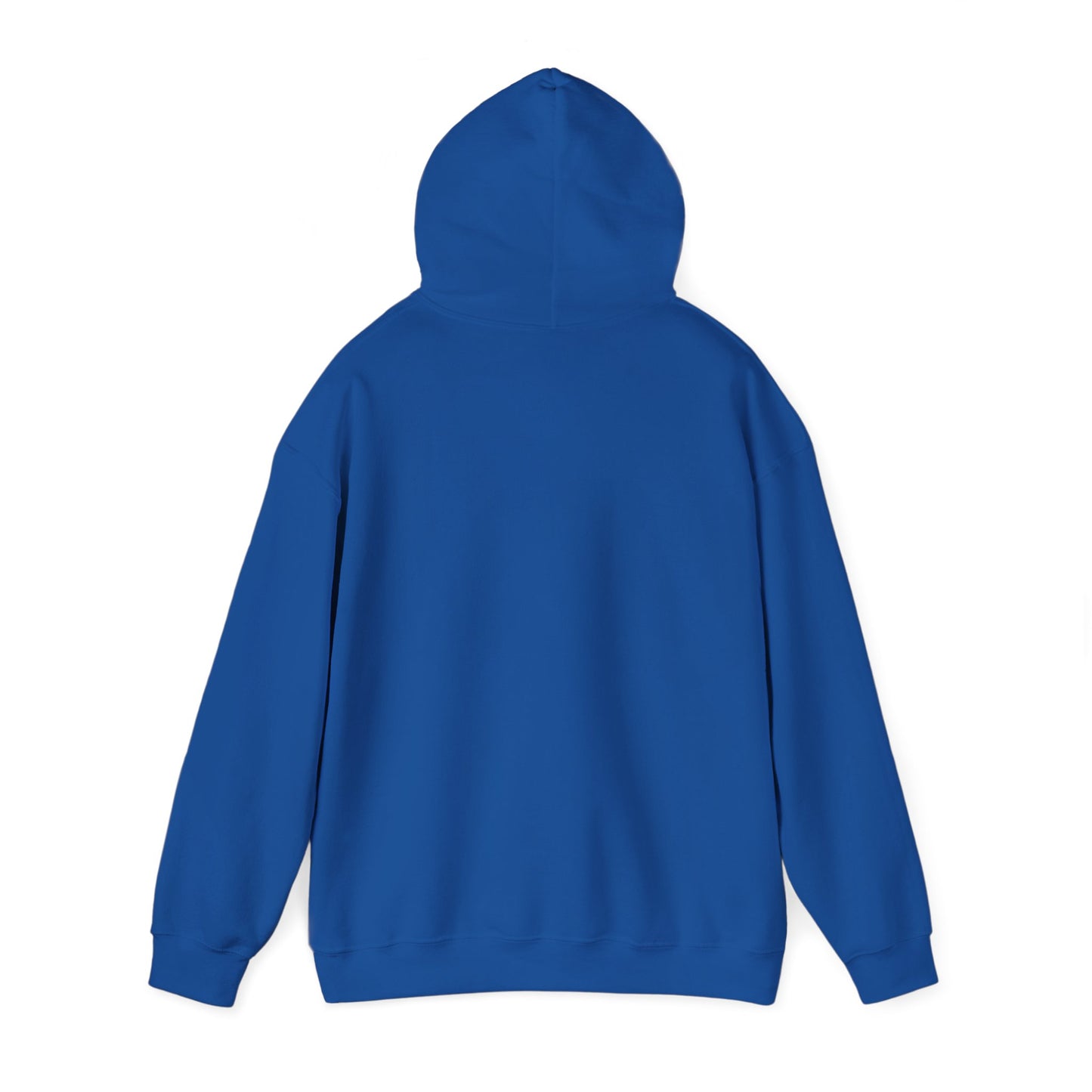FAST AND FURIOUS NISSAN SKYLINE GTR Hooded Sweatshirt Multi Colors
