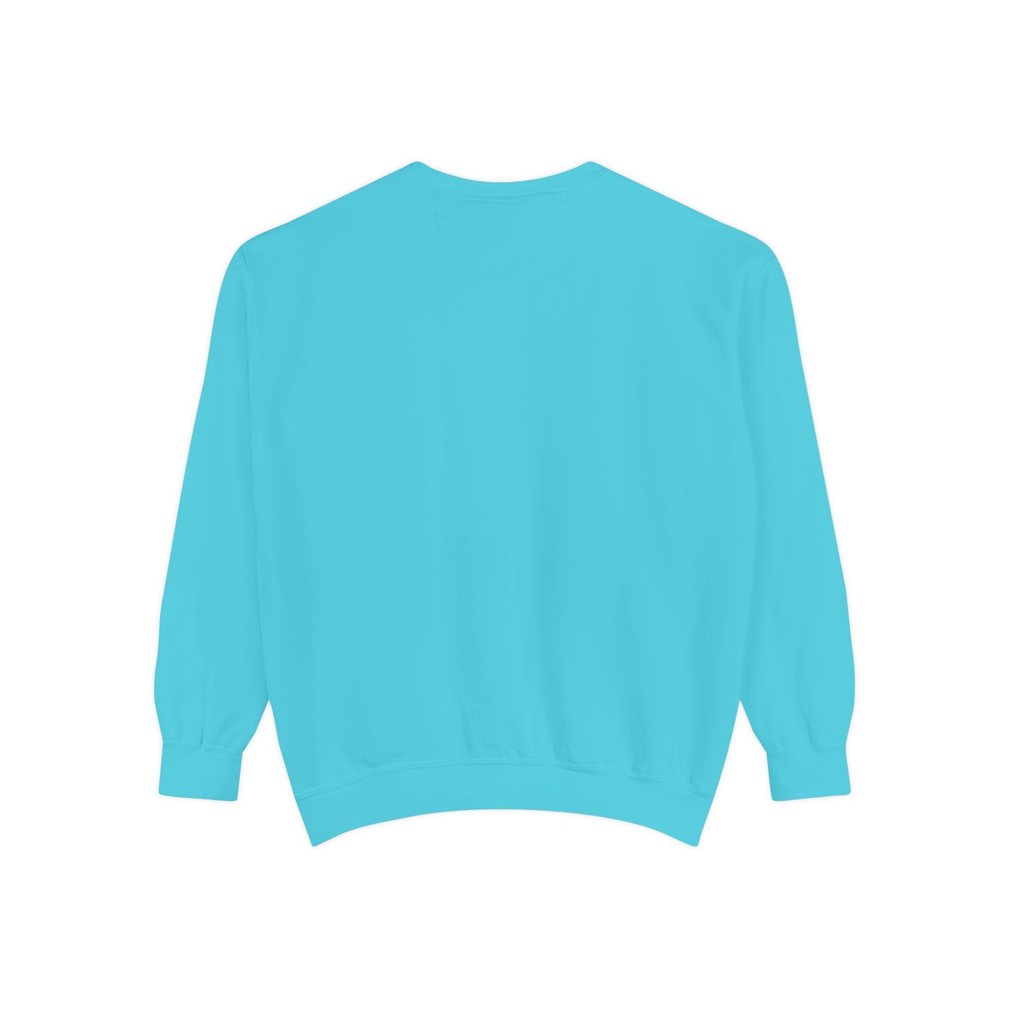 BUDDY CRUISE Official Sweatshirt — Multiple Colors