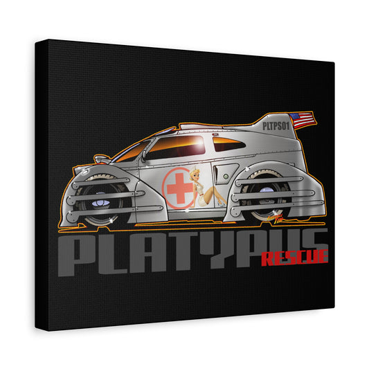 PLATYPUS RESCUE Concept Canvas Art Wall Print - 11x14